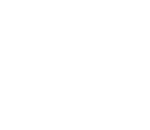 CSS Winner — Star